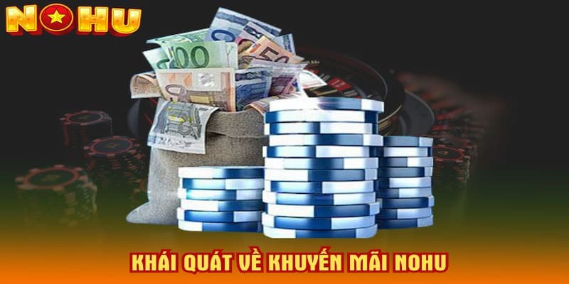 Top những ưu đãi chỉ có tại NOHU