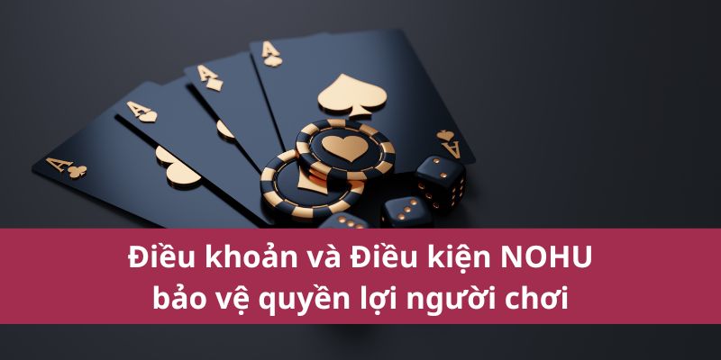 Điều khoản và Điều kiện NOHU bảo vệ quyền lợi người chơi